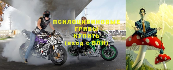 гидра Алексеевка